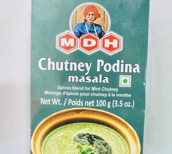 MDH Chutney Podina 100G