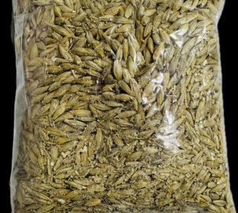 Jau Barley Seeds