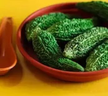 BITTERMELON KARELA PER LB