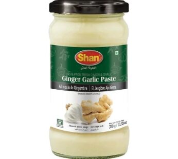 SHAN GINGER GARLIC PASTE 310G