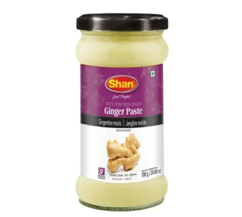 SHAN GINGER PASTE 700G