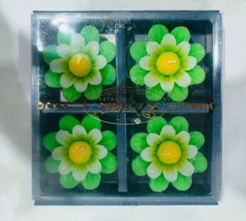 DIWALI FLOATING 4PCS CANDLES