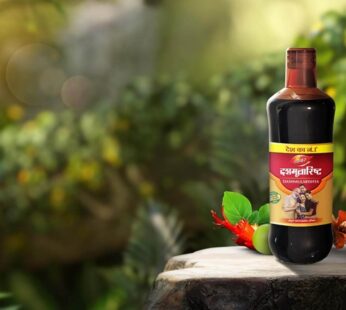 Dabur Dashmularishta 450ml