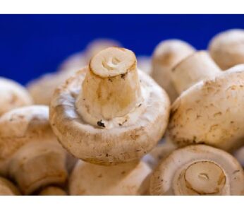 Fresh Mushroom Per lb