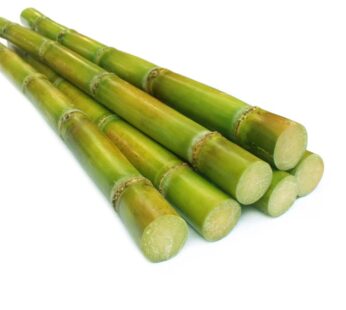 Sugarcane Per Pc