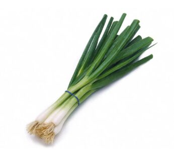 GREEN ONION BUNCH