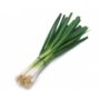GREEN ONION BUNCH